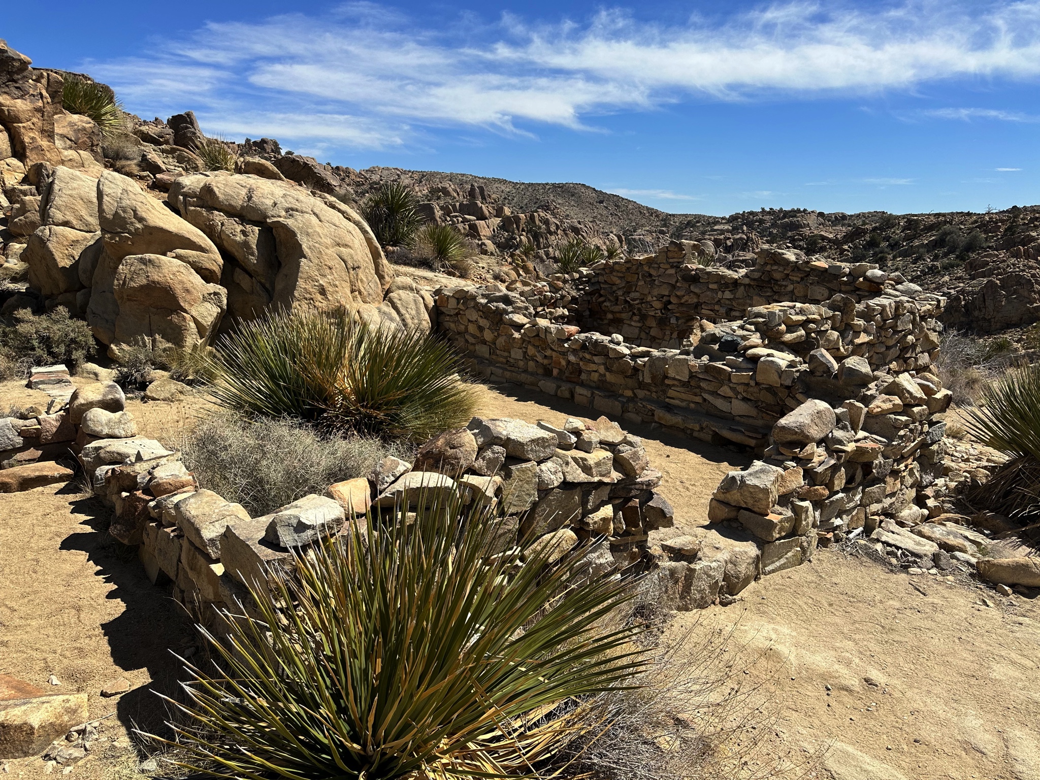 Joshua Tree National Park