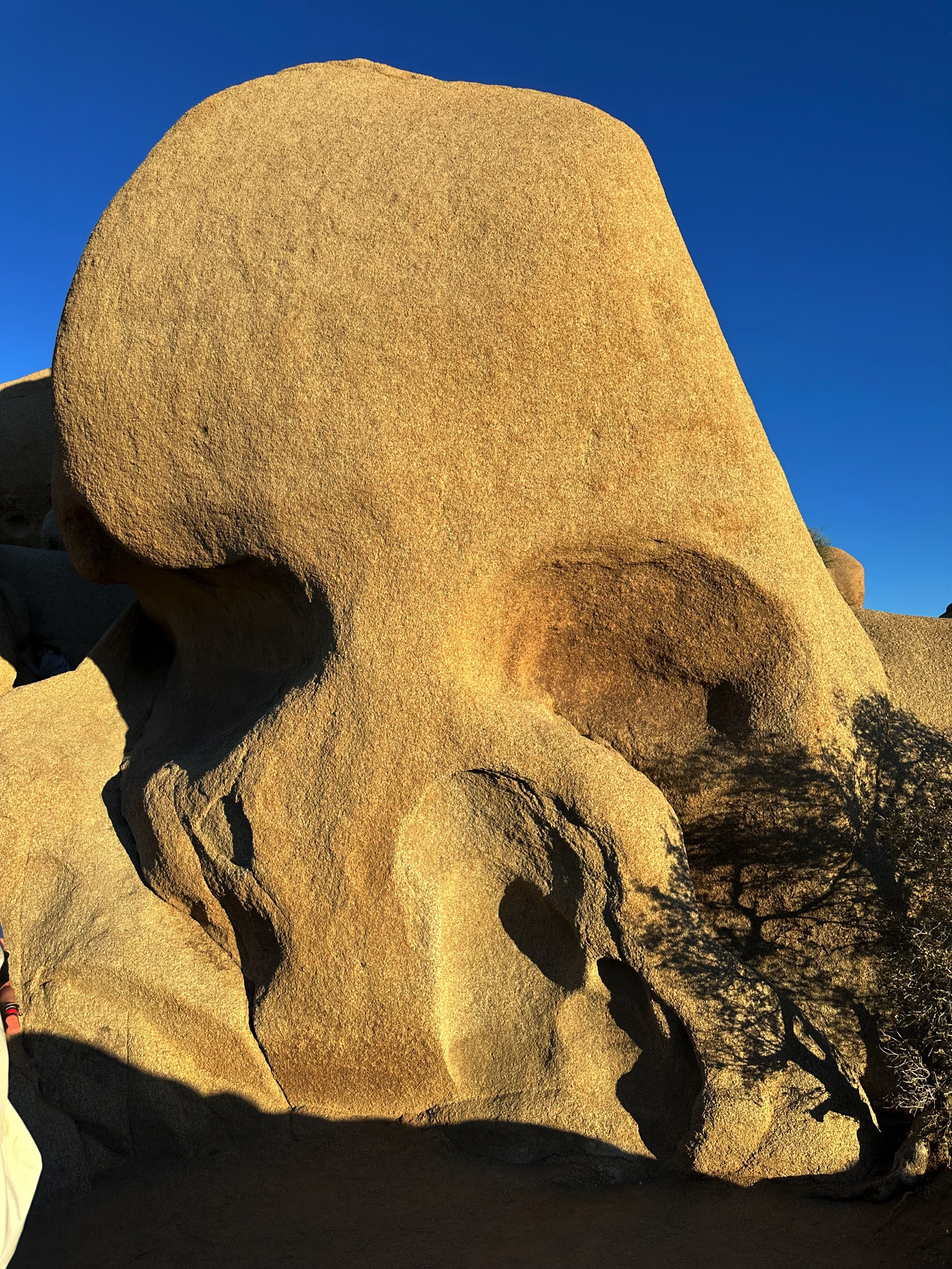Joshua Tree National Park