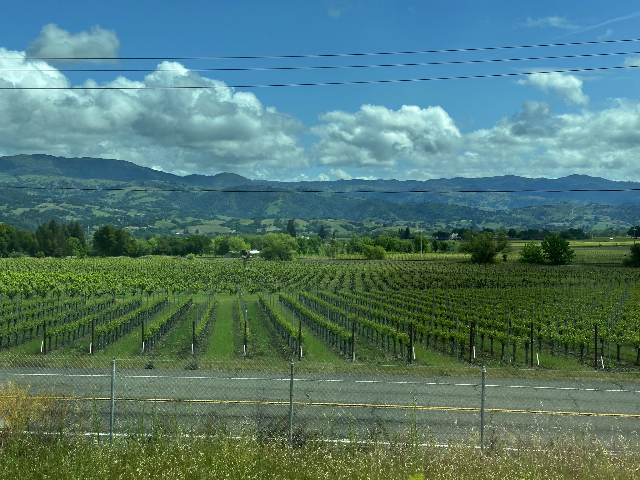 Travel from Petaluma to Meyers Flat, California