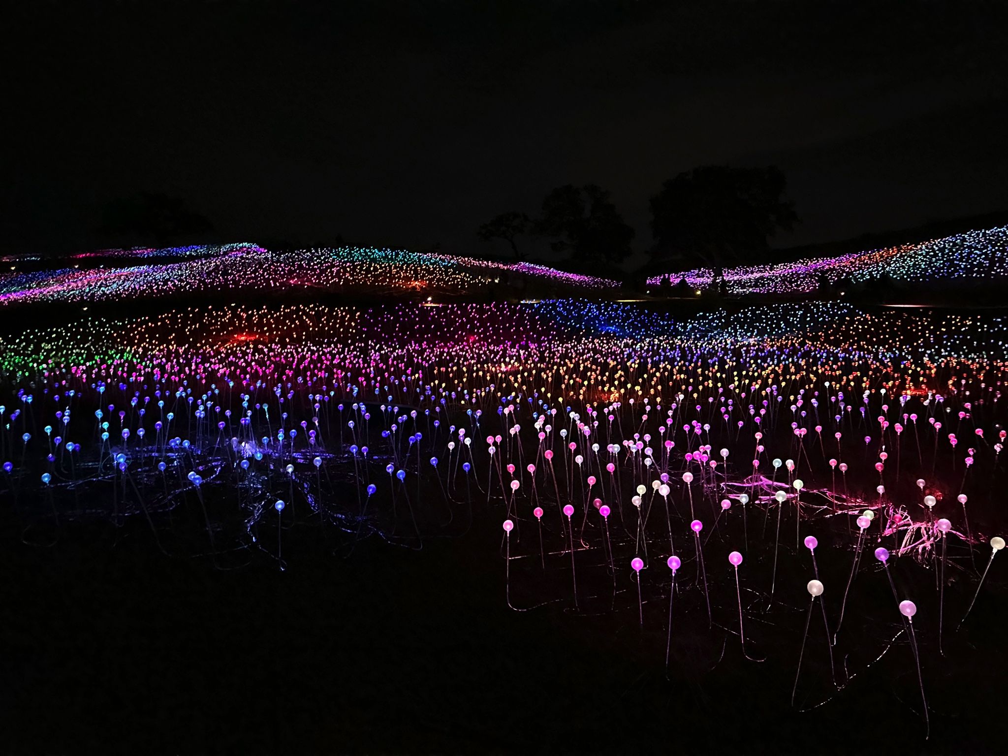 Sen so rio lights
