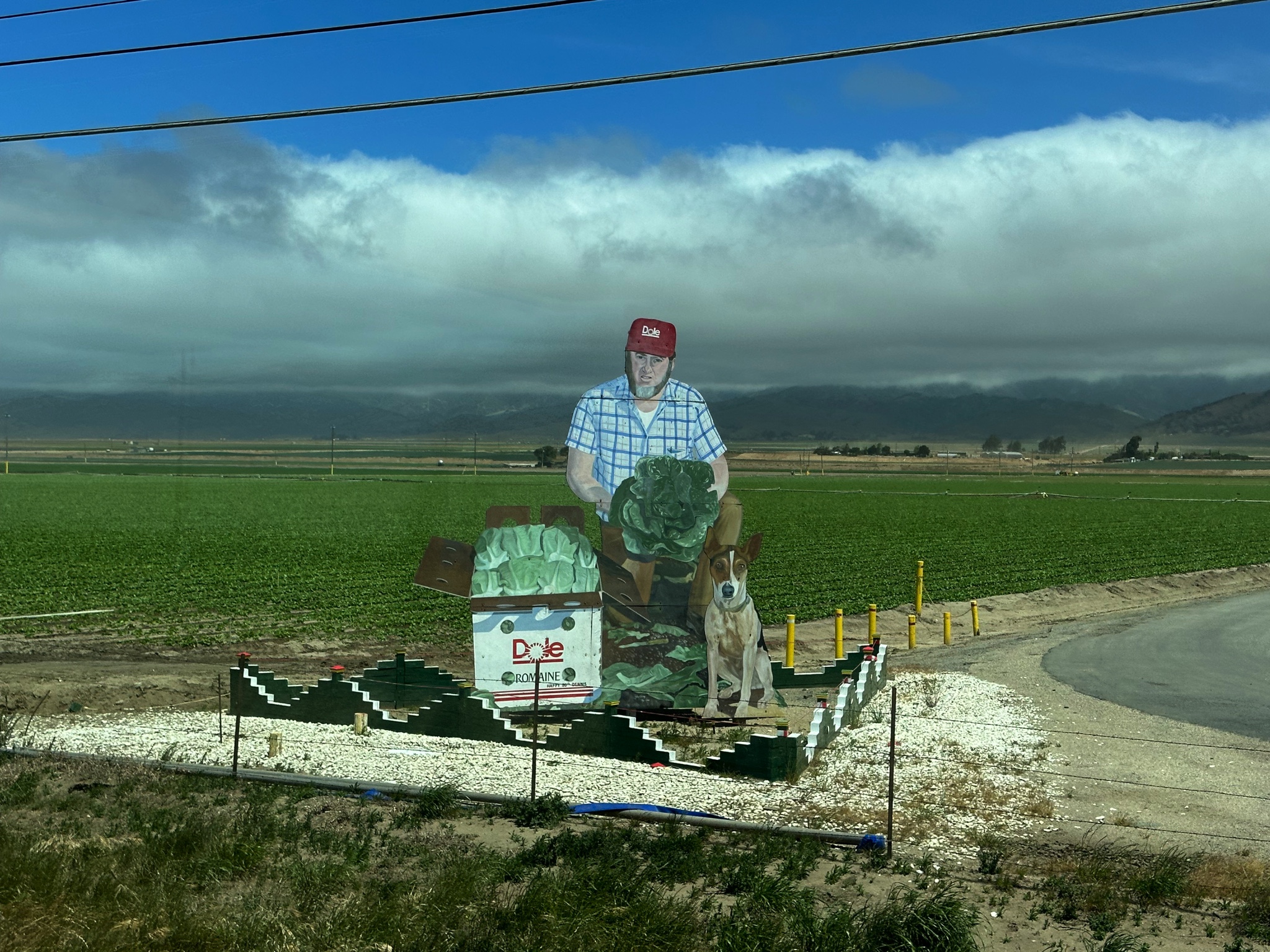 Travel from Paso Robles to Petaluma, California