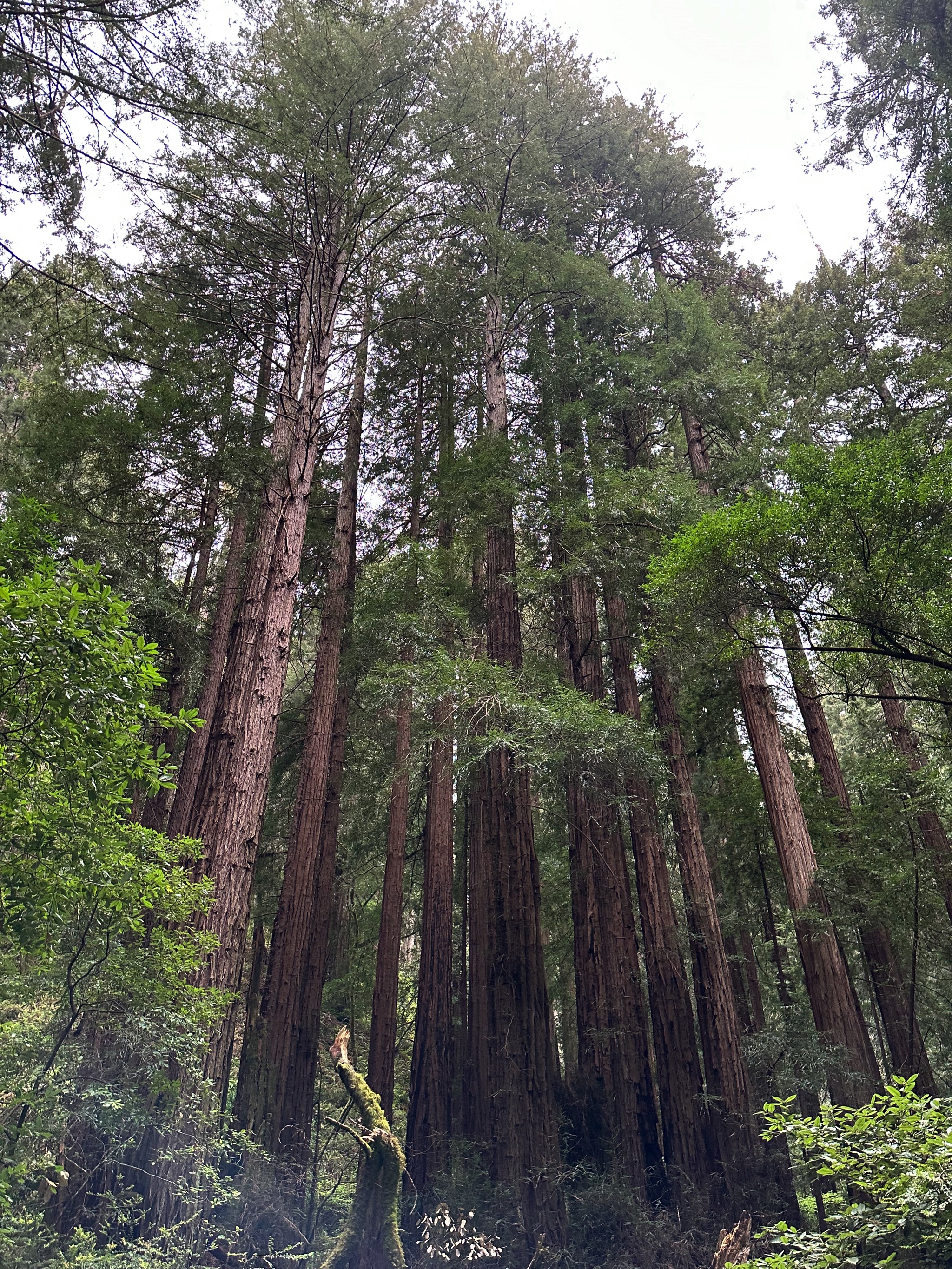 Hike