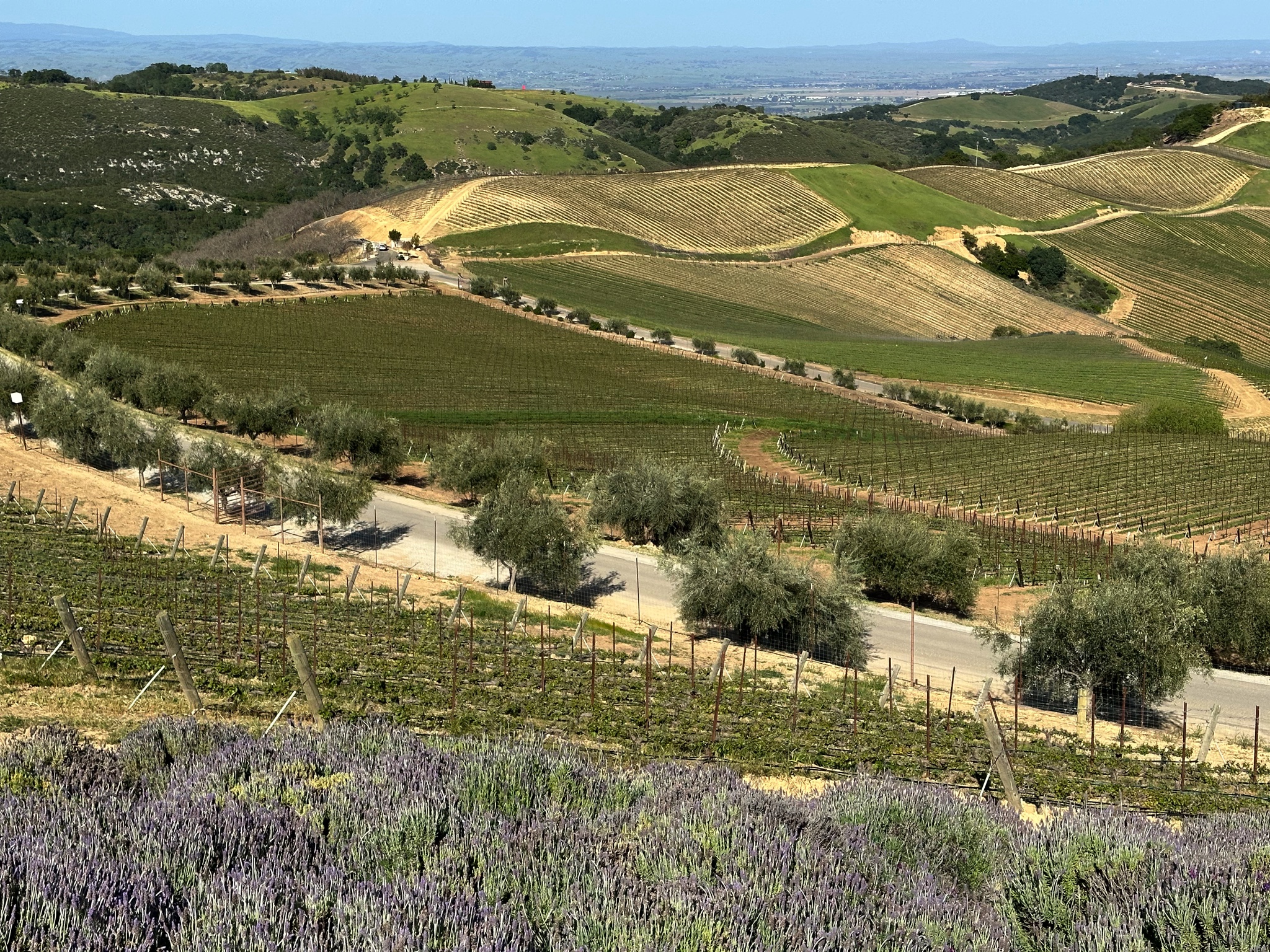 Winery