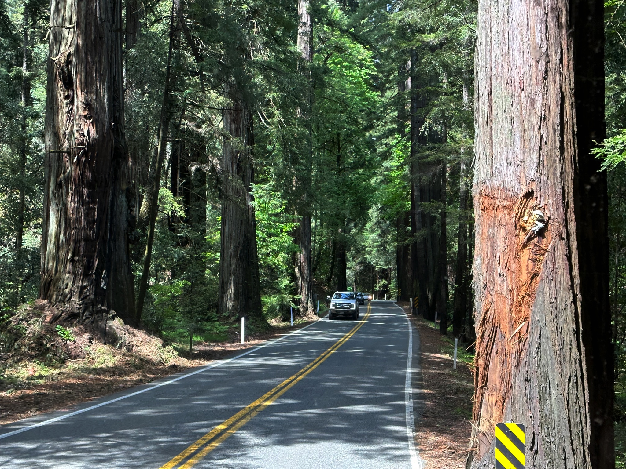 Travel from Petaluma to Meyers Flat, California