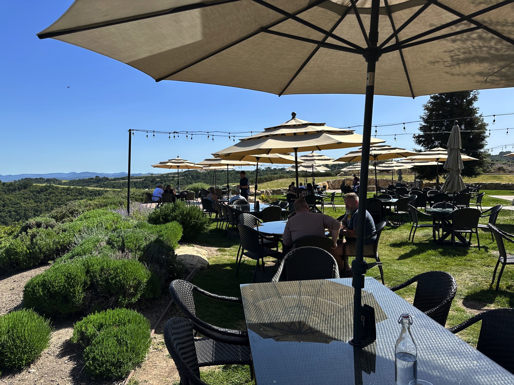 Winery
