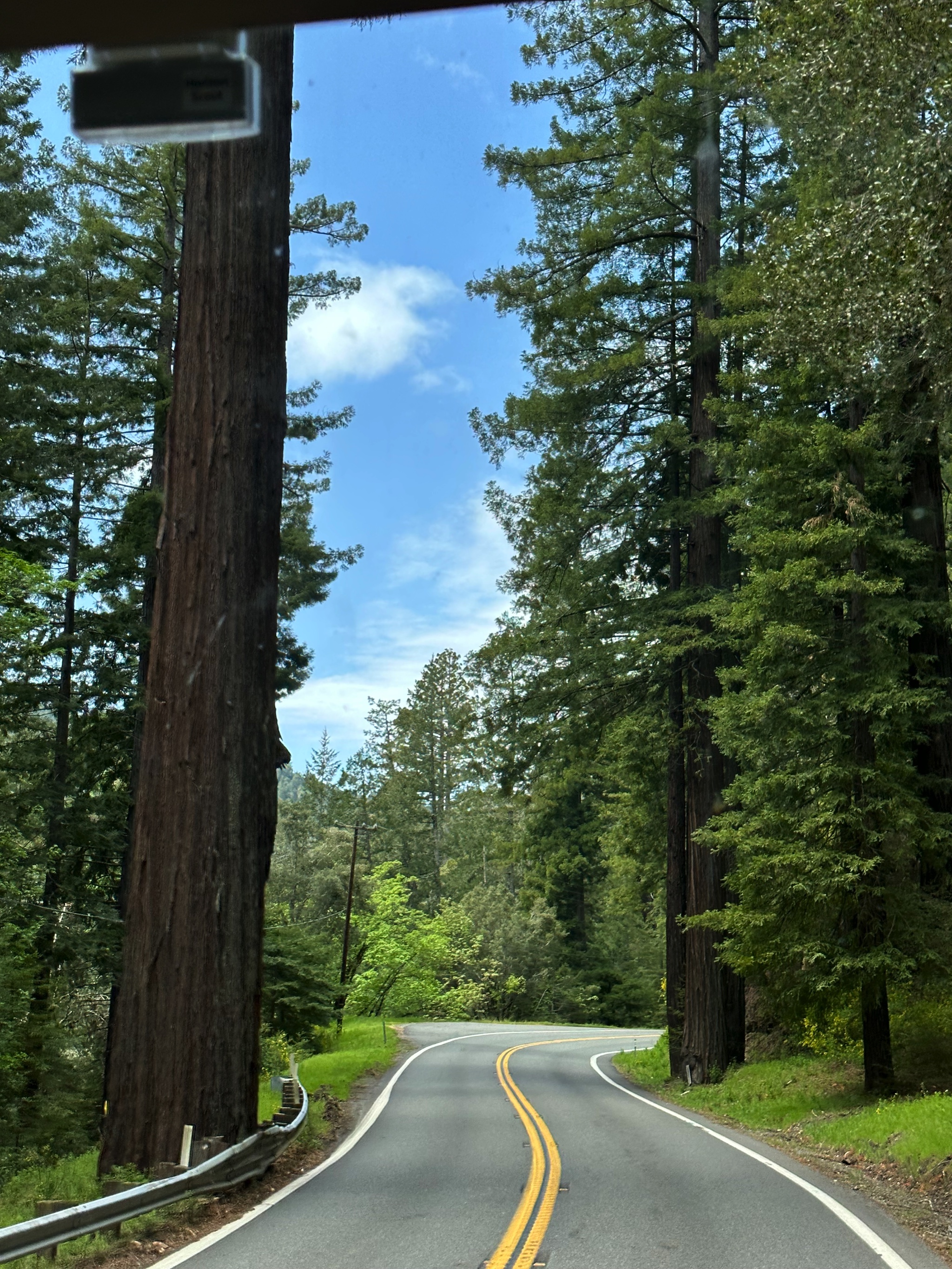 Travel from Petaluma to Meyers Flat, California
