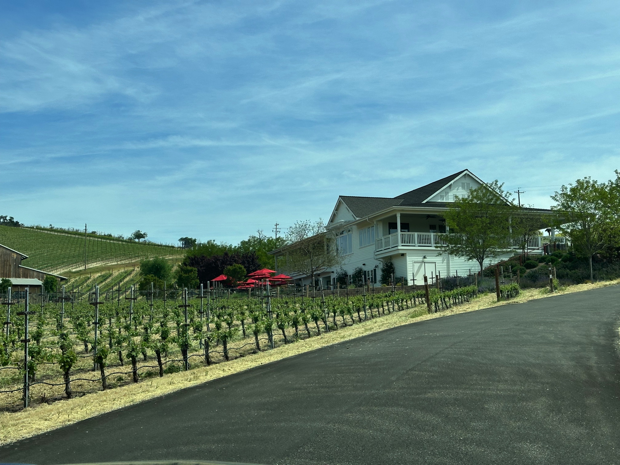 Winery