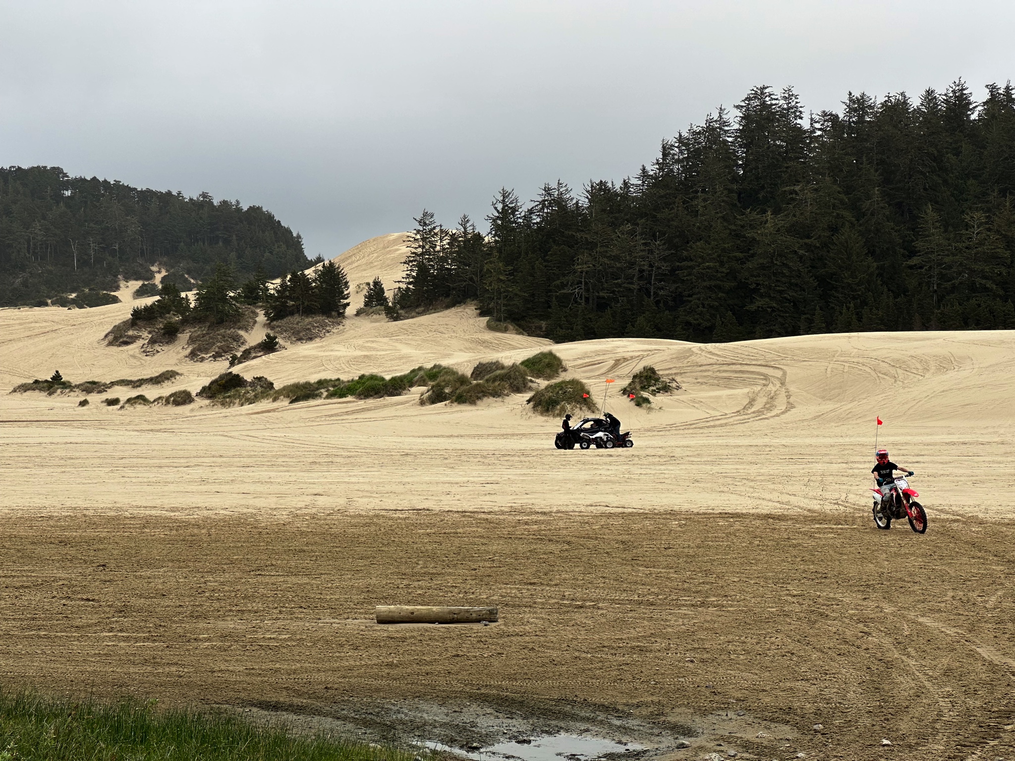 Sand dunes and dune vehicles