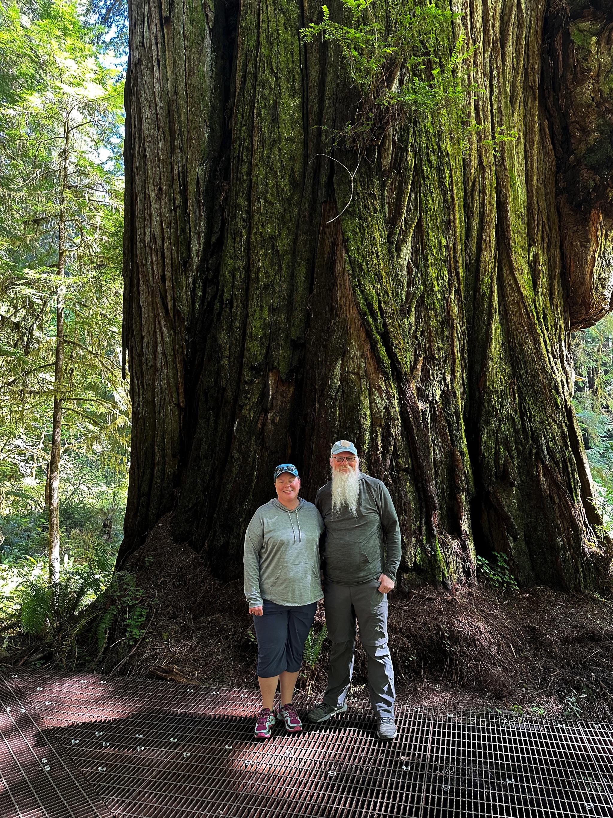 Redwood State and National Parks