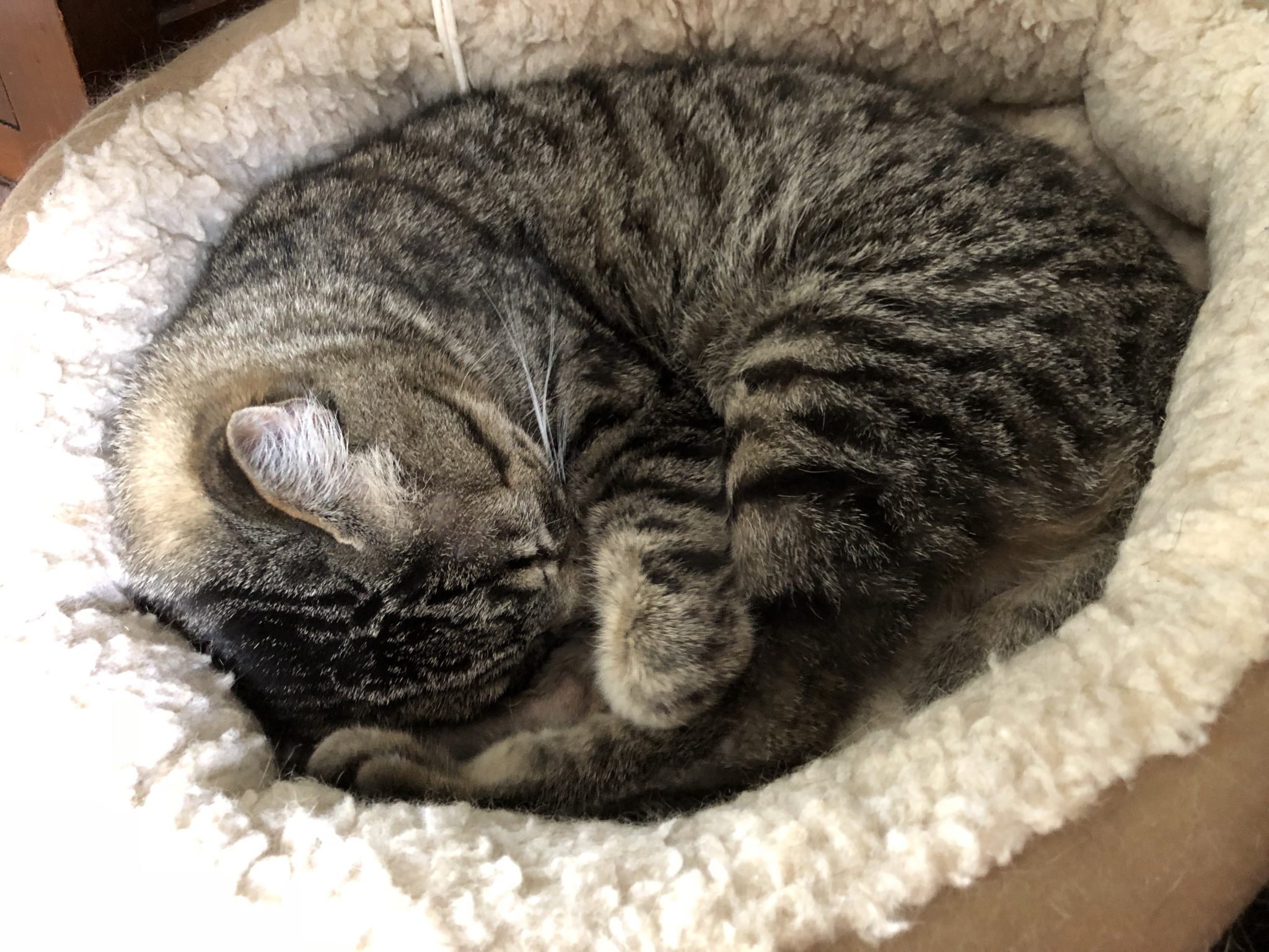 Image description needed