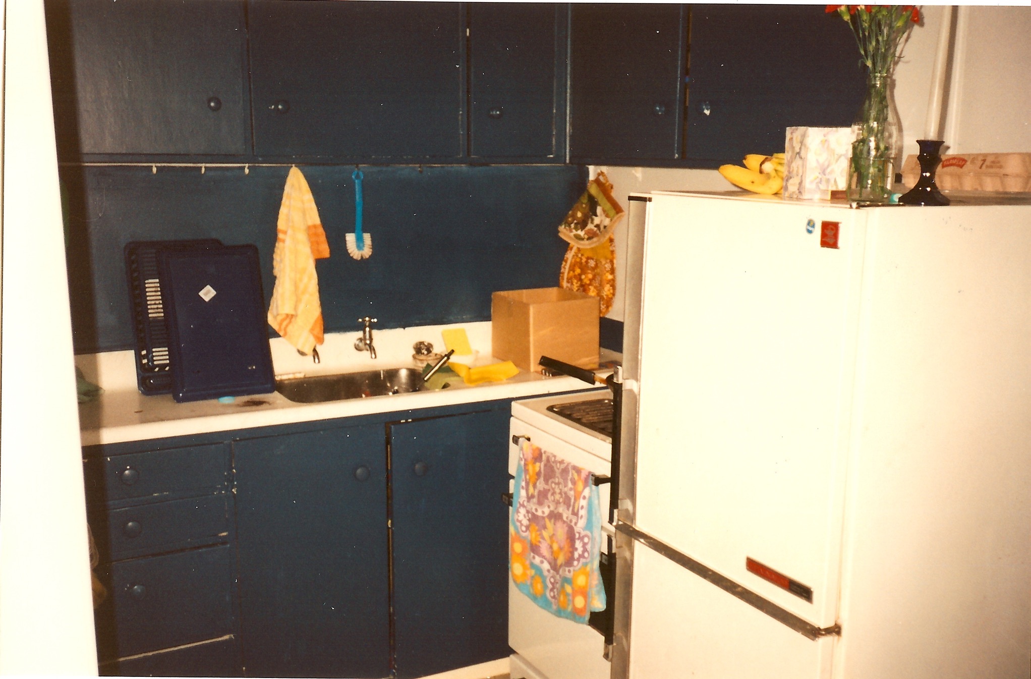 NZ flat