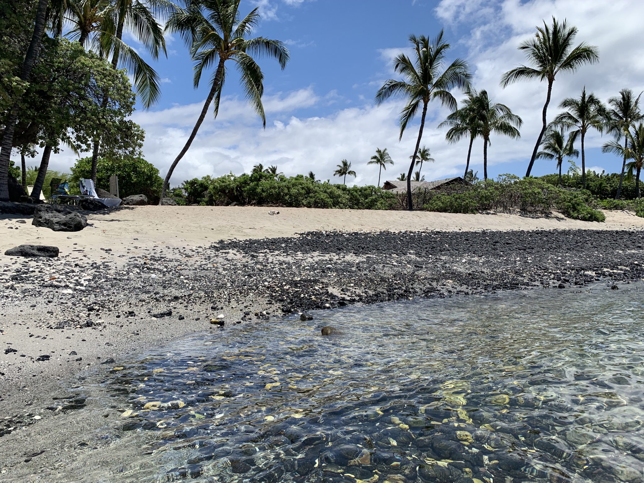 Image description needed