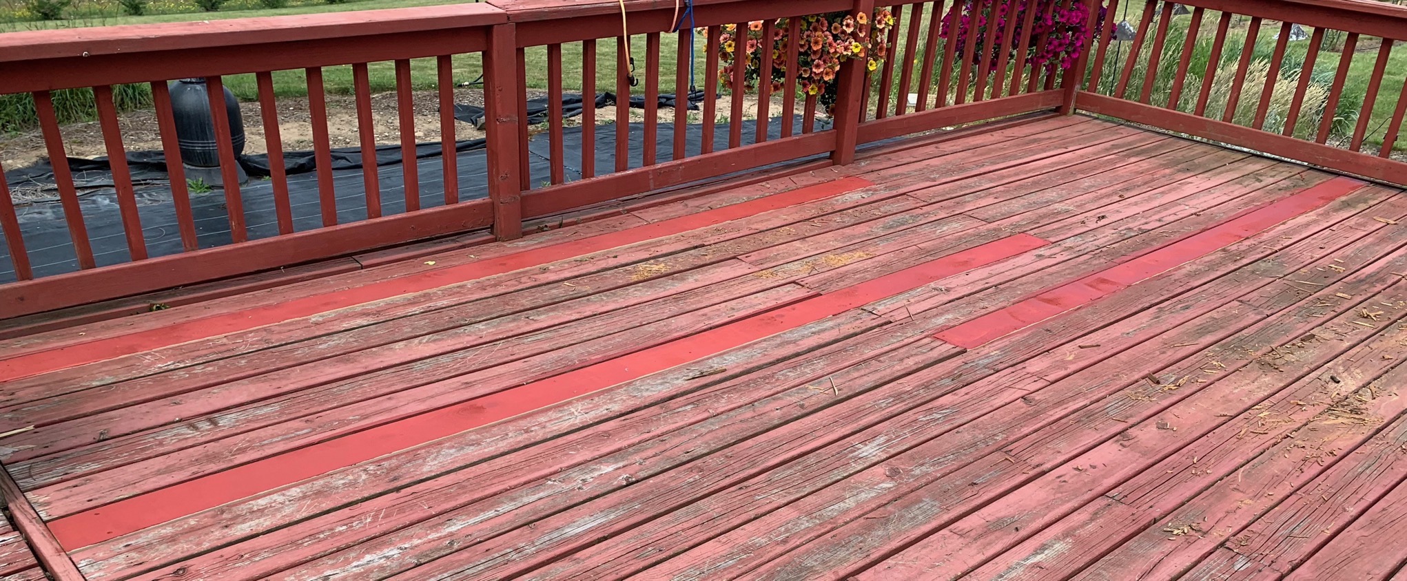 Replaced & stained deck boards