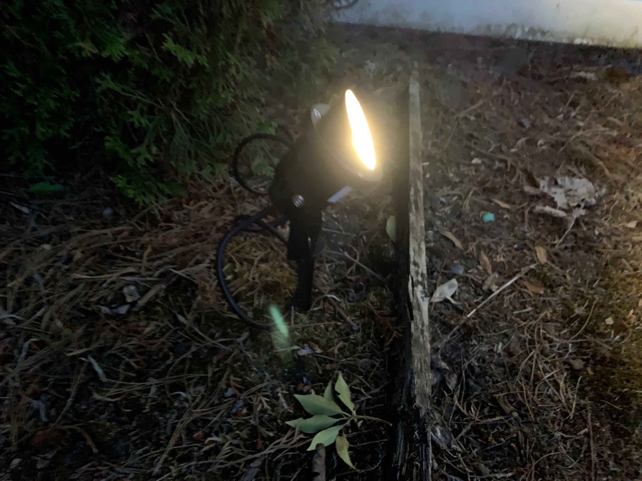 Flag light