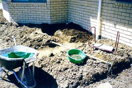Starting veggie garden