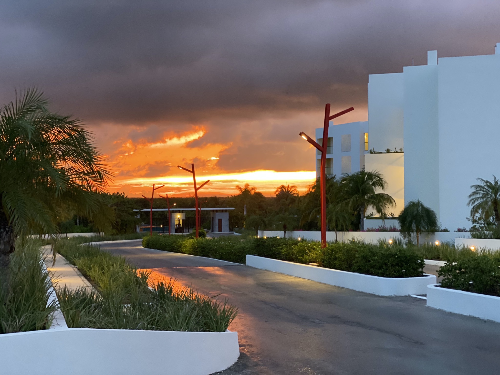 Sunset