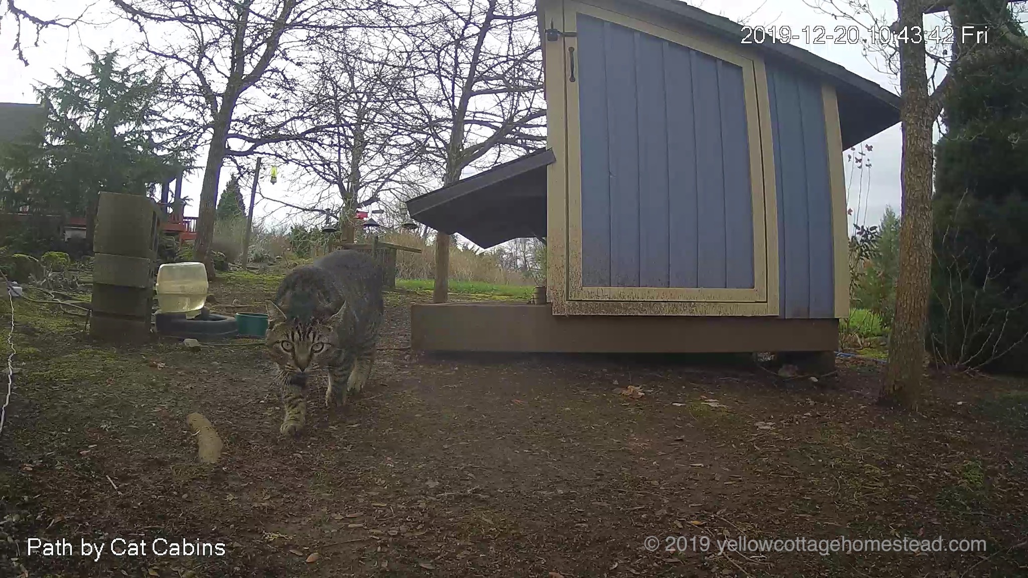 Moved mobile cam