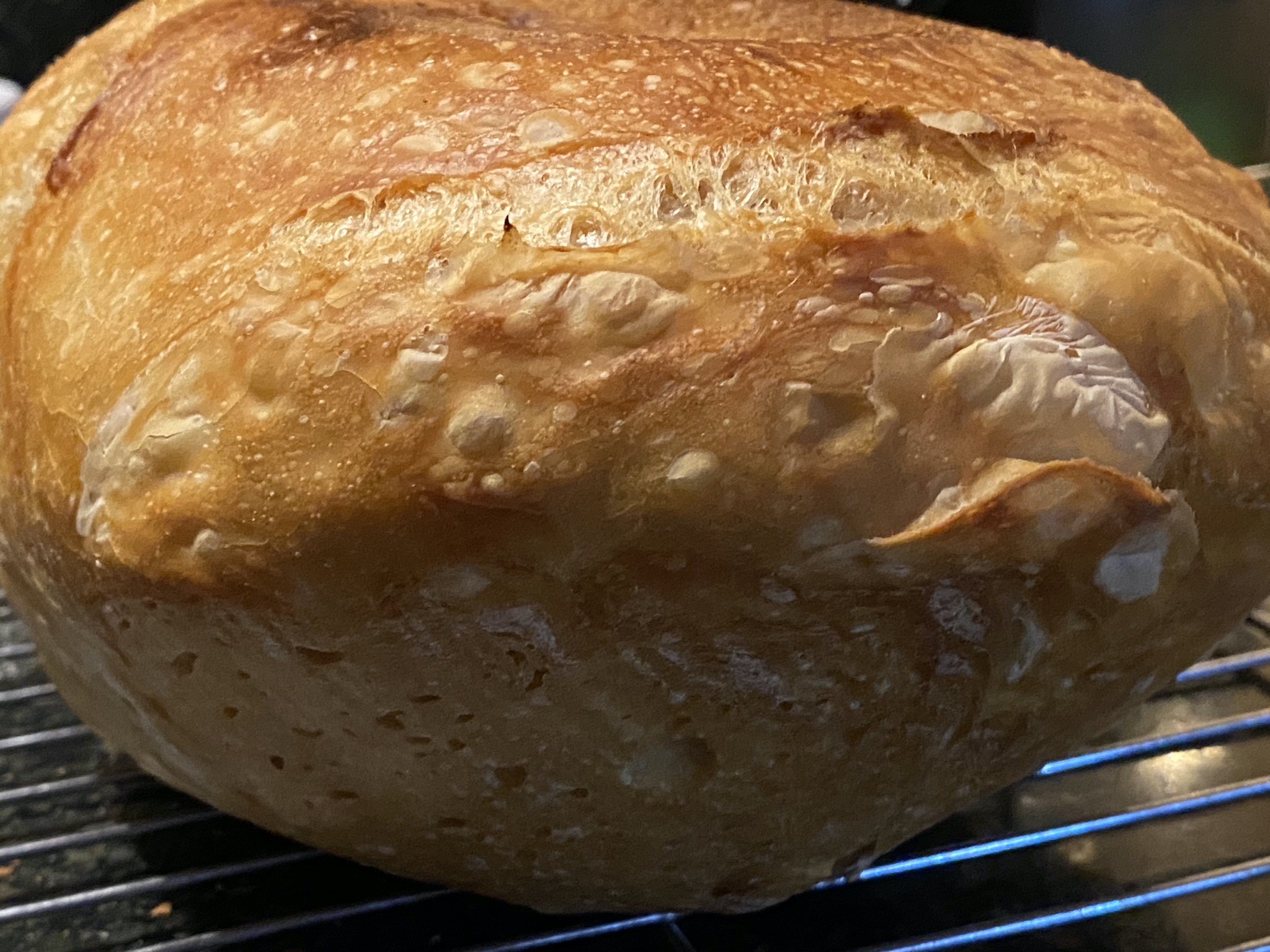 Bread
