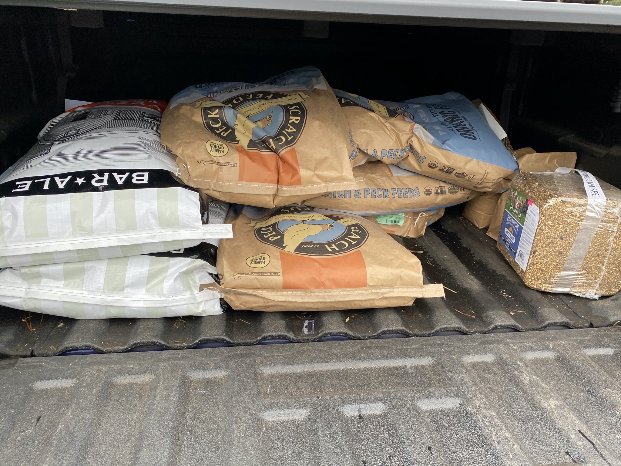 Bird, chicken, duck food