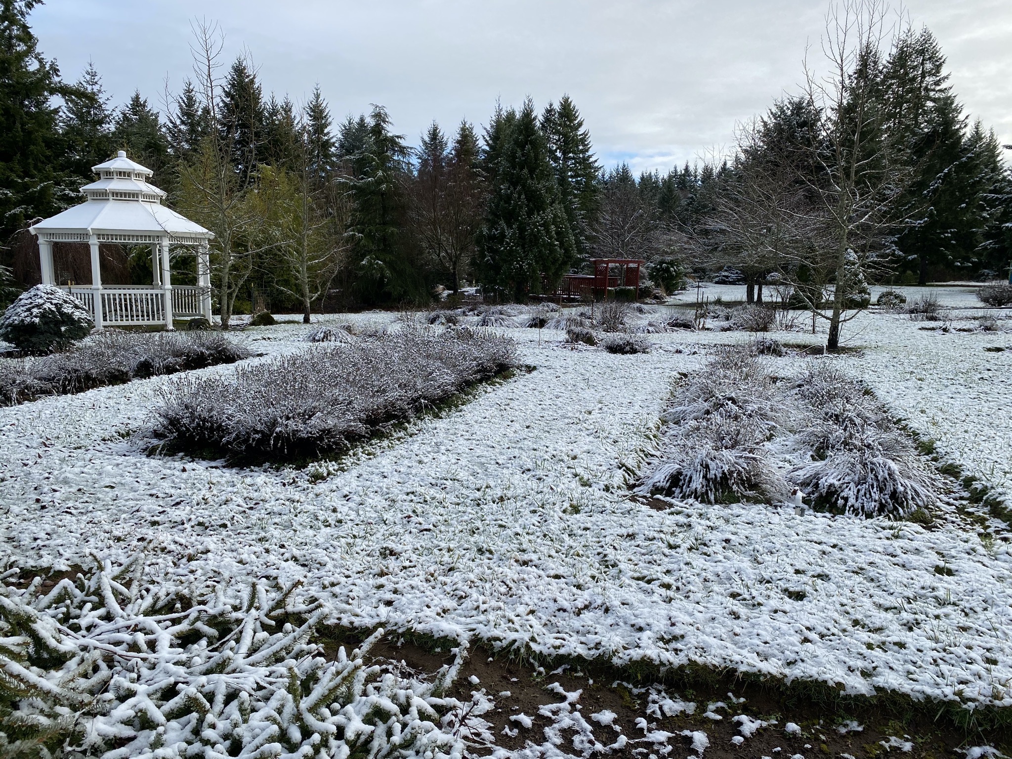 Snow