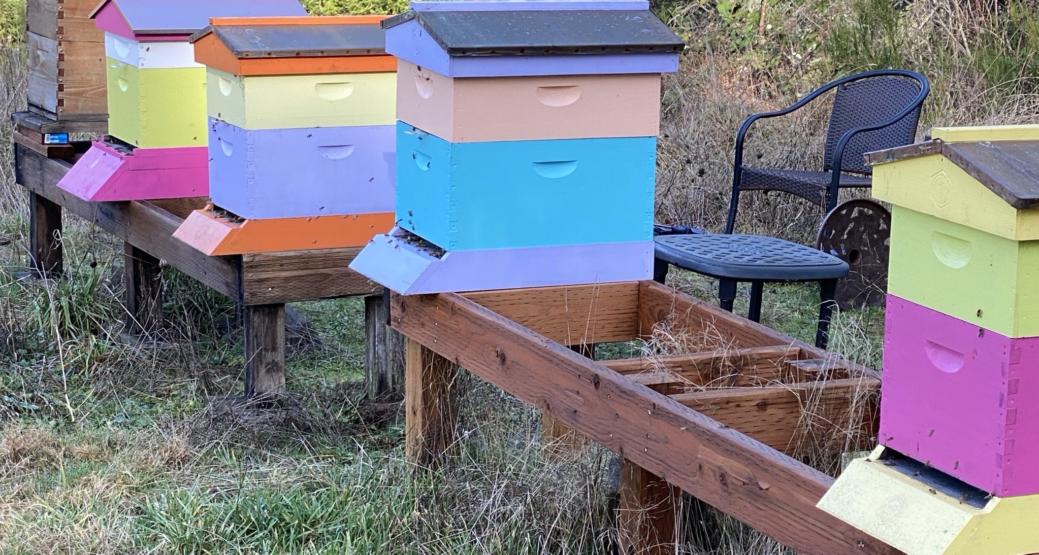 Beehives