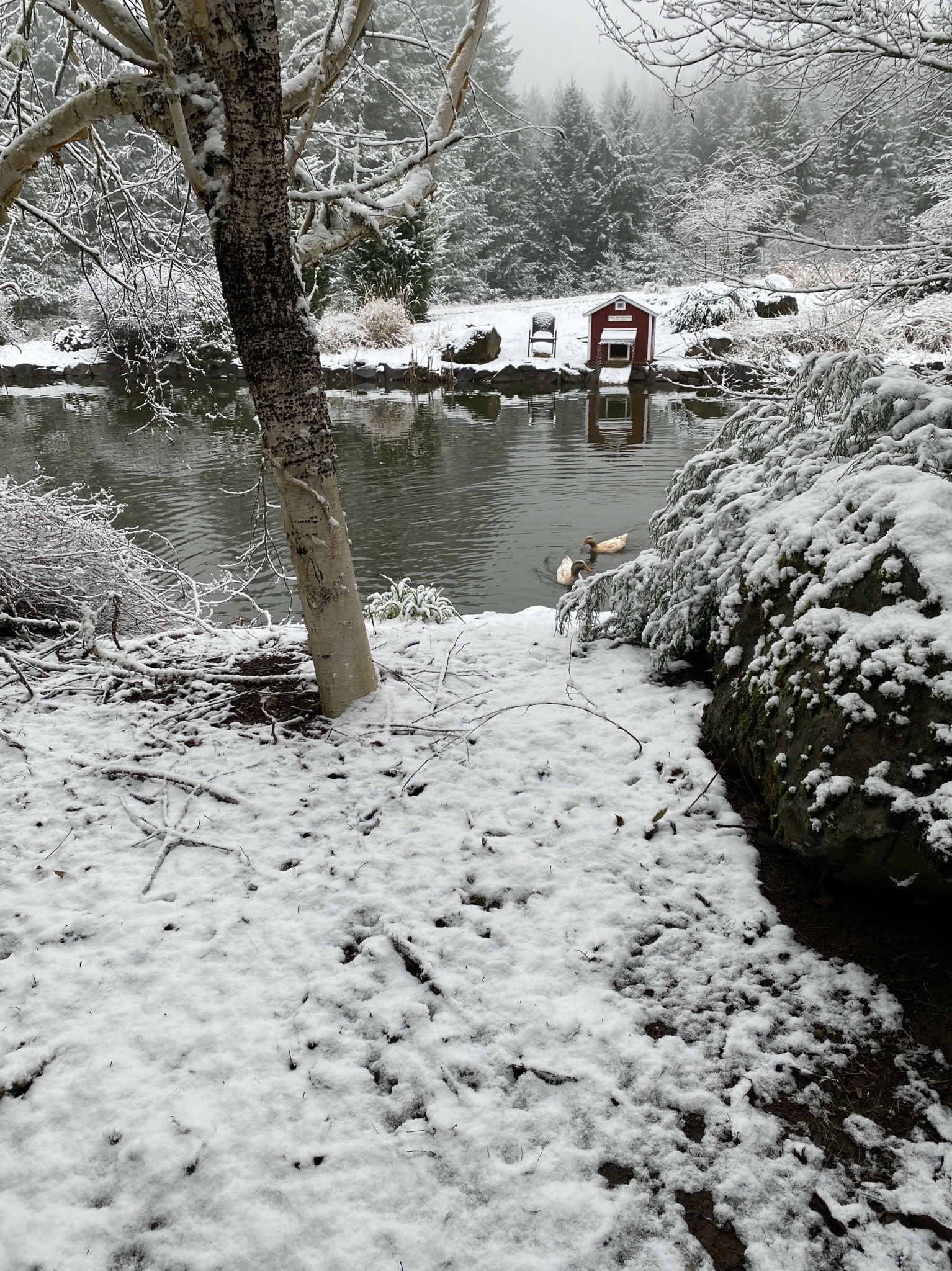 Secret path with snow
