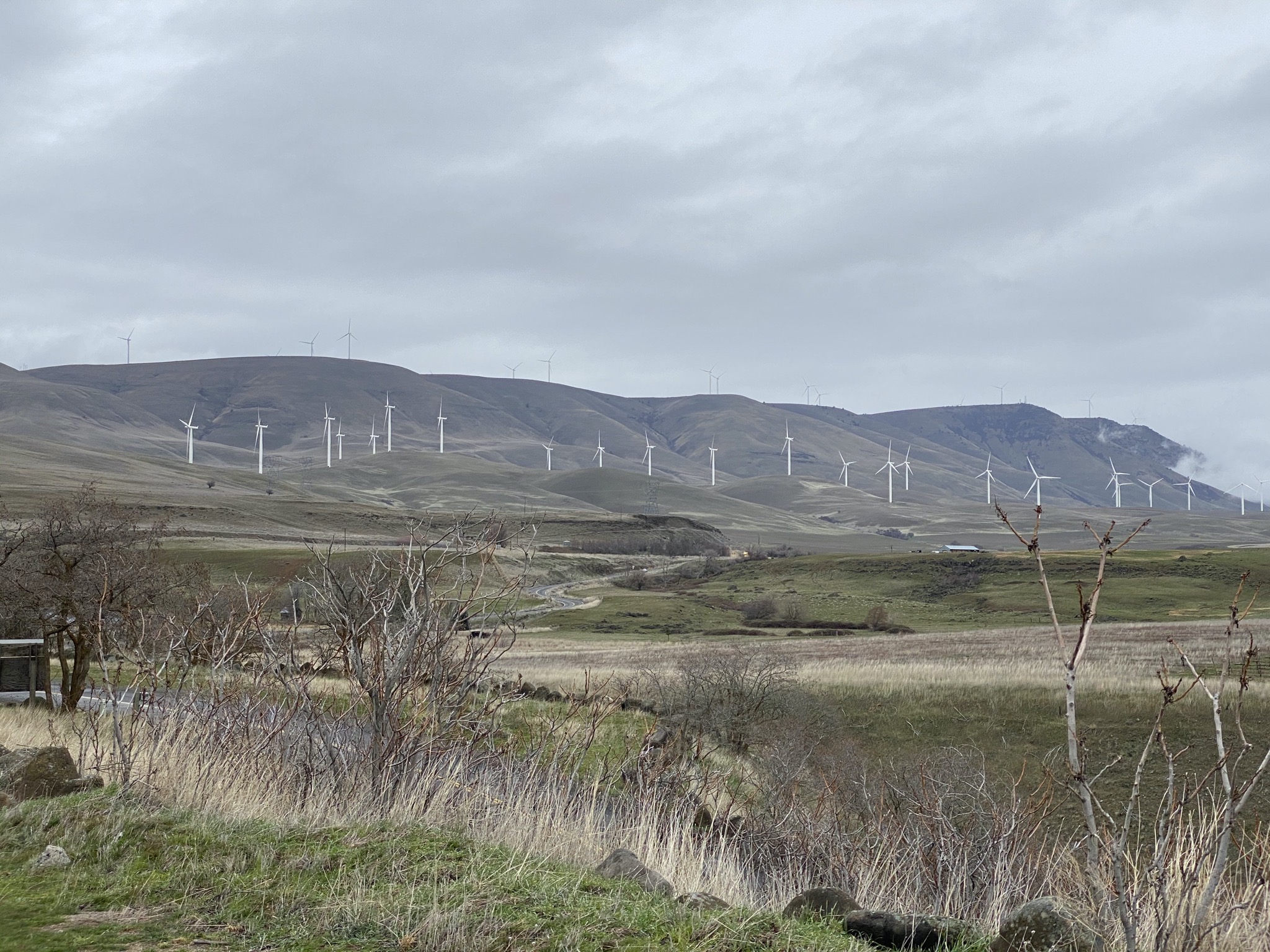 Wind farm