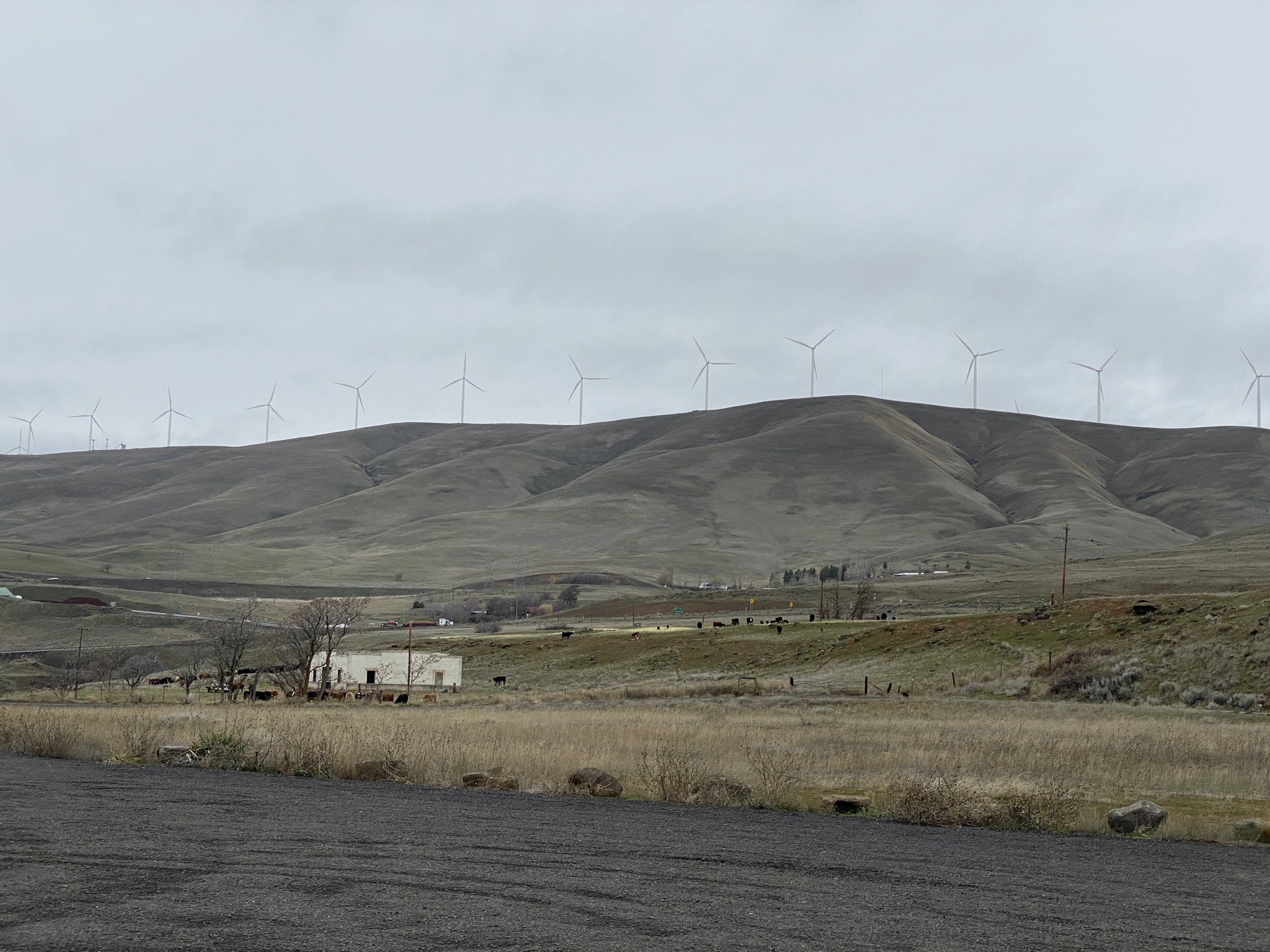 Wind farm