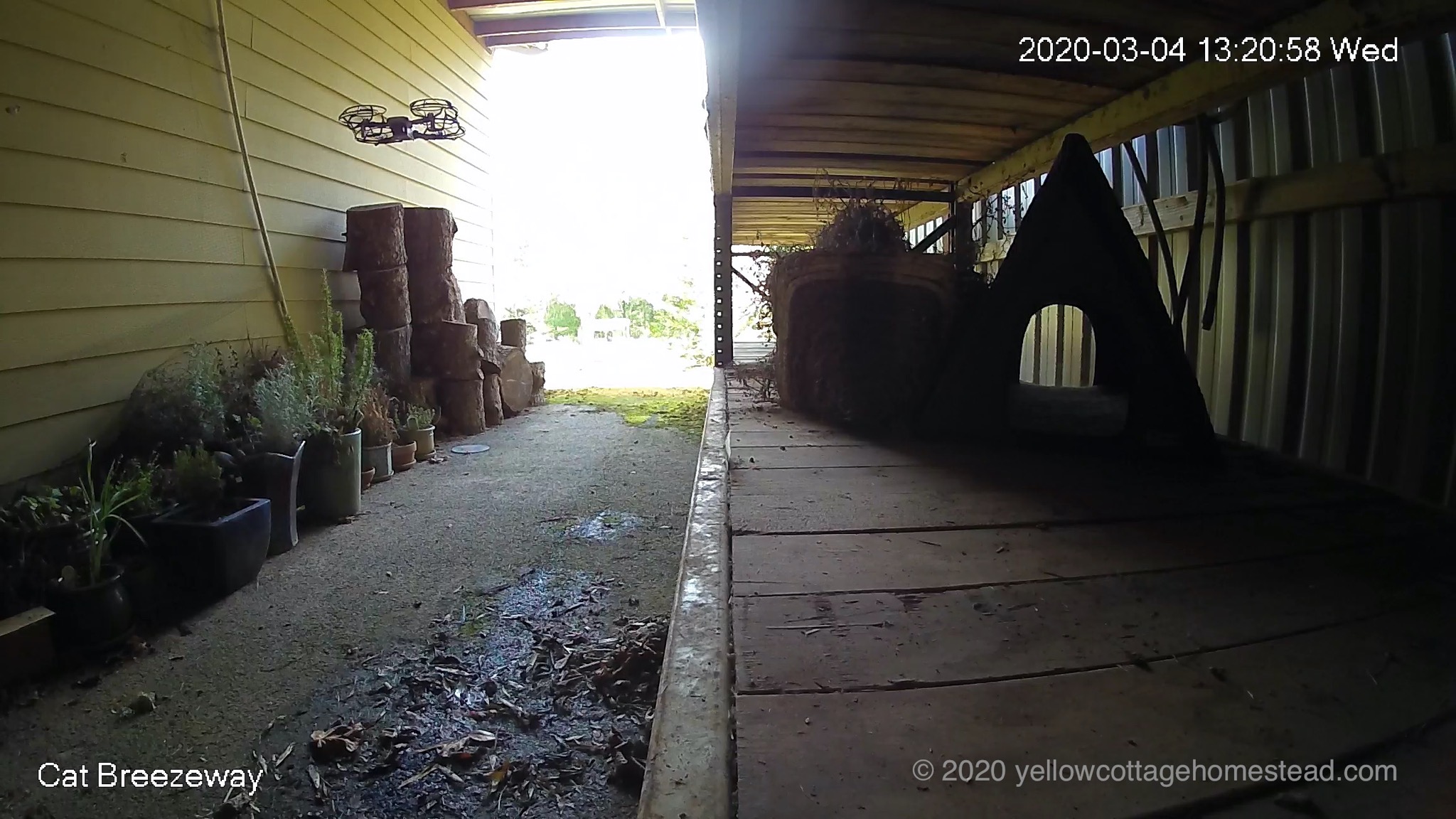 Drone in breezeway
