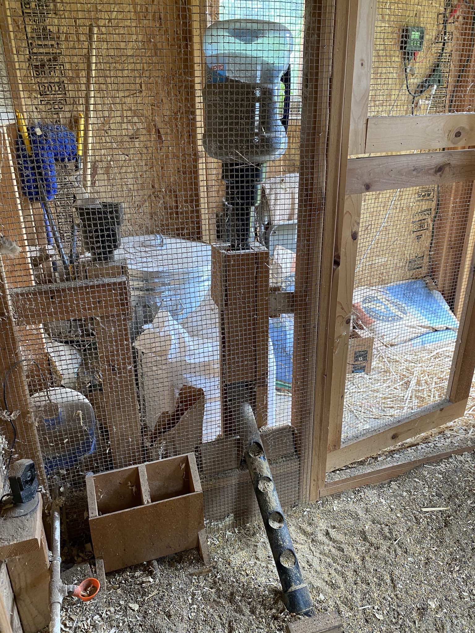 Chicken feeder