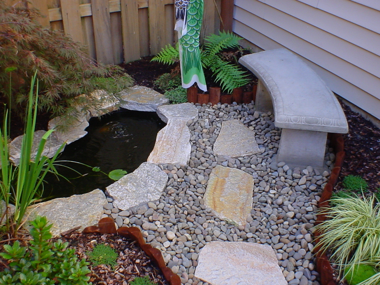 Pond and landscaping