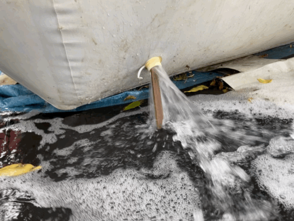 GIF of water draining from pool