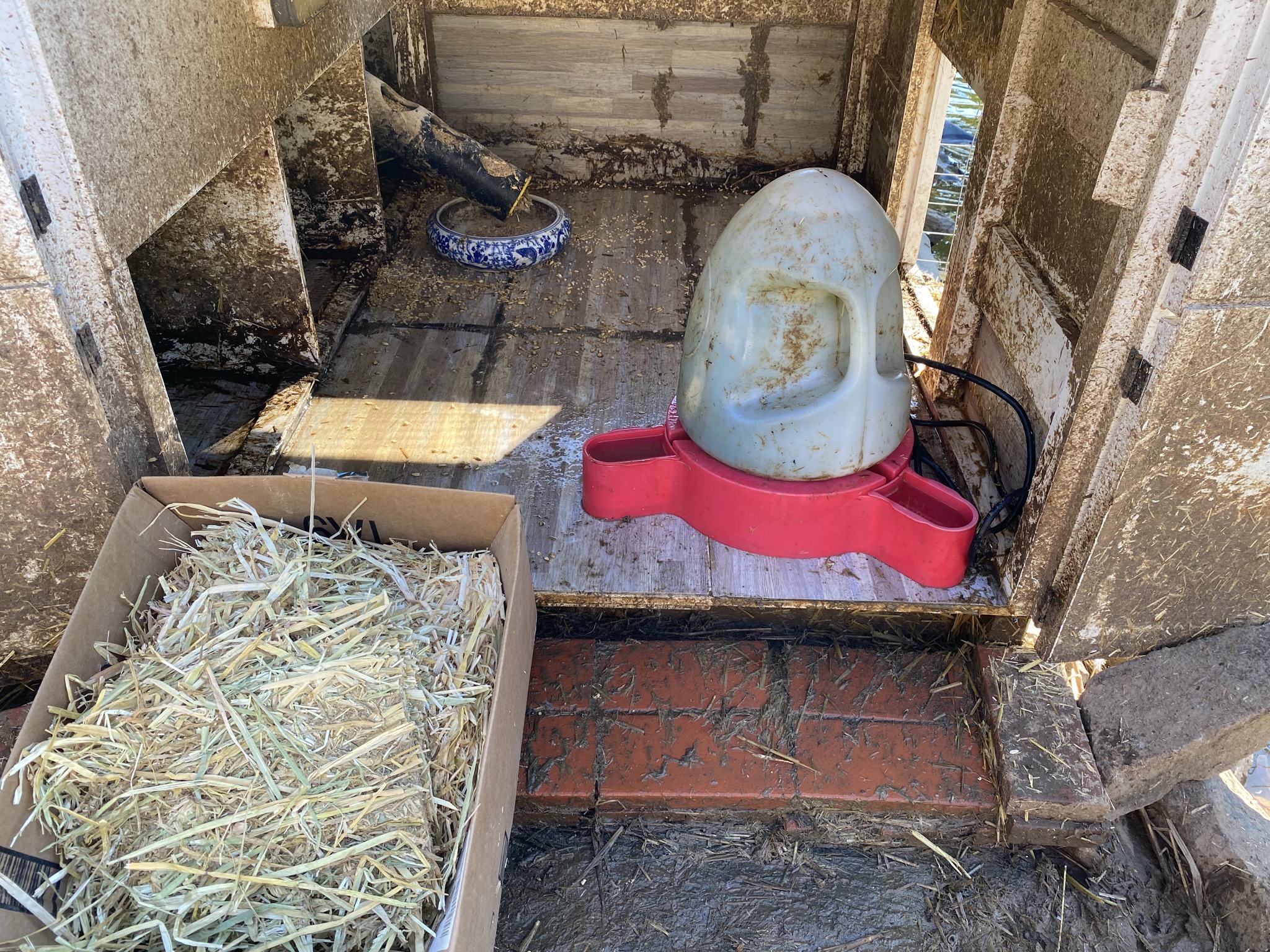 Fresh straw for duck house