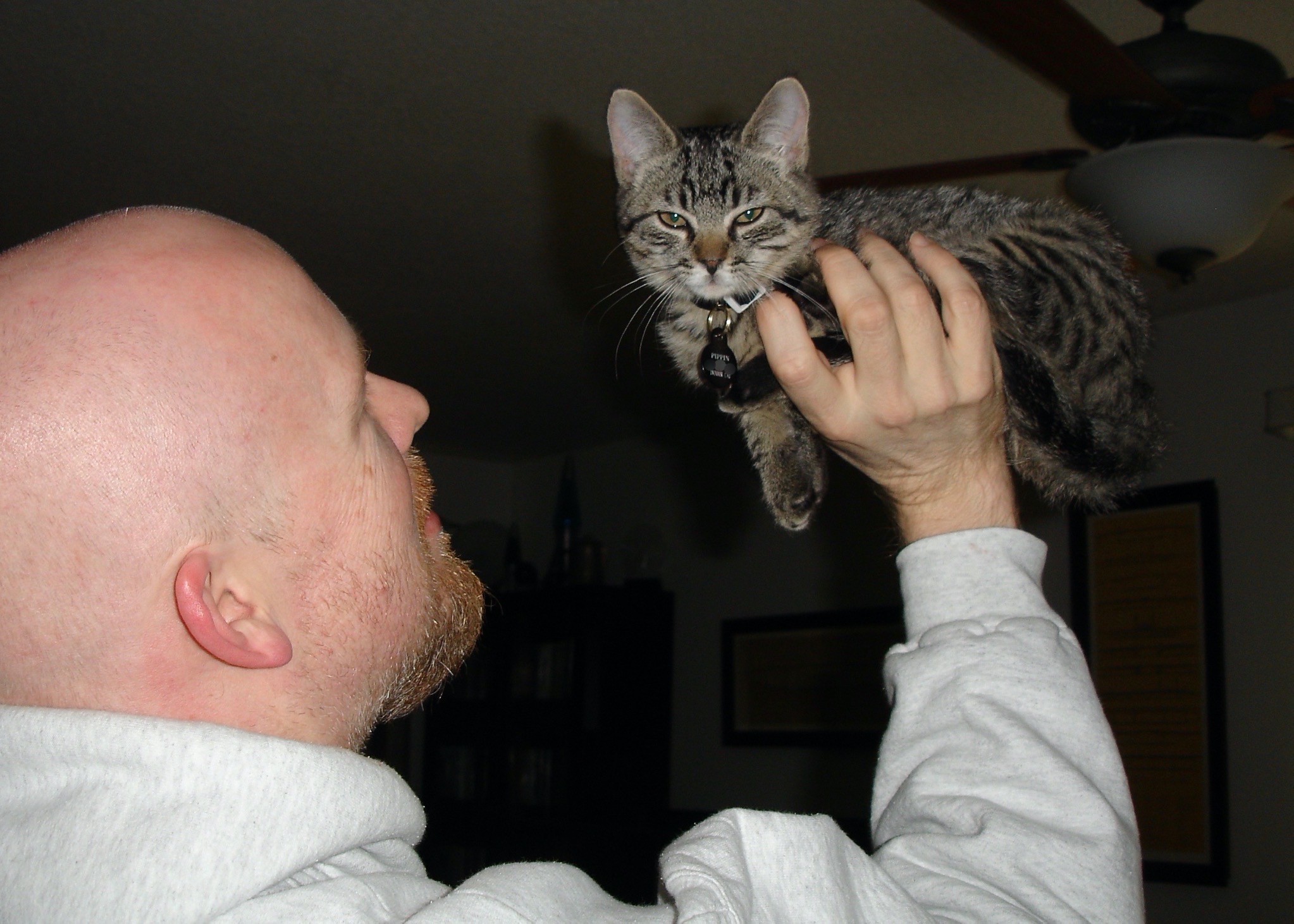 Pippin in October 2007