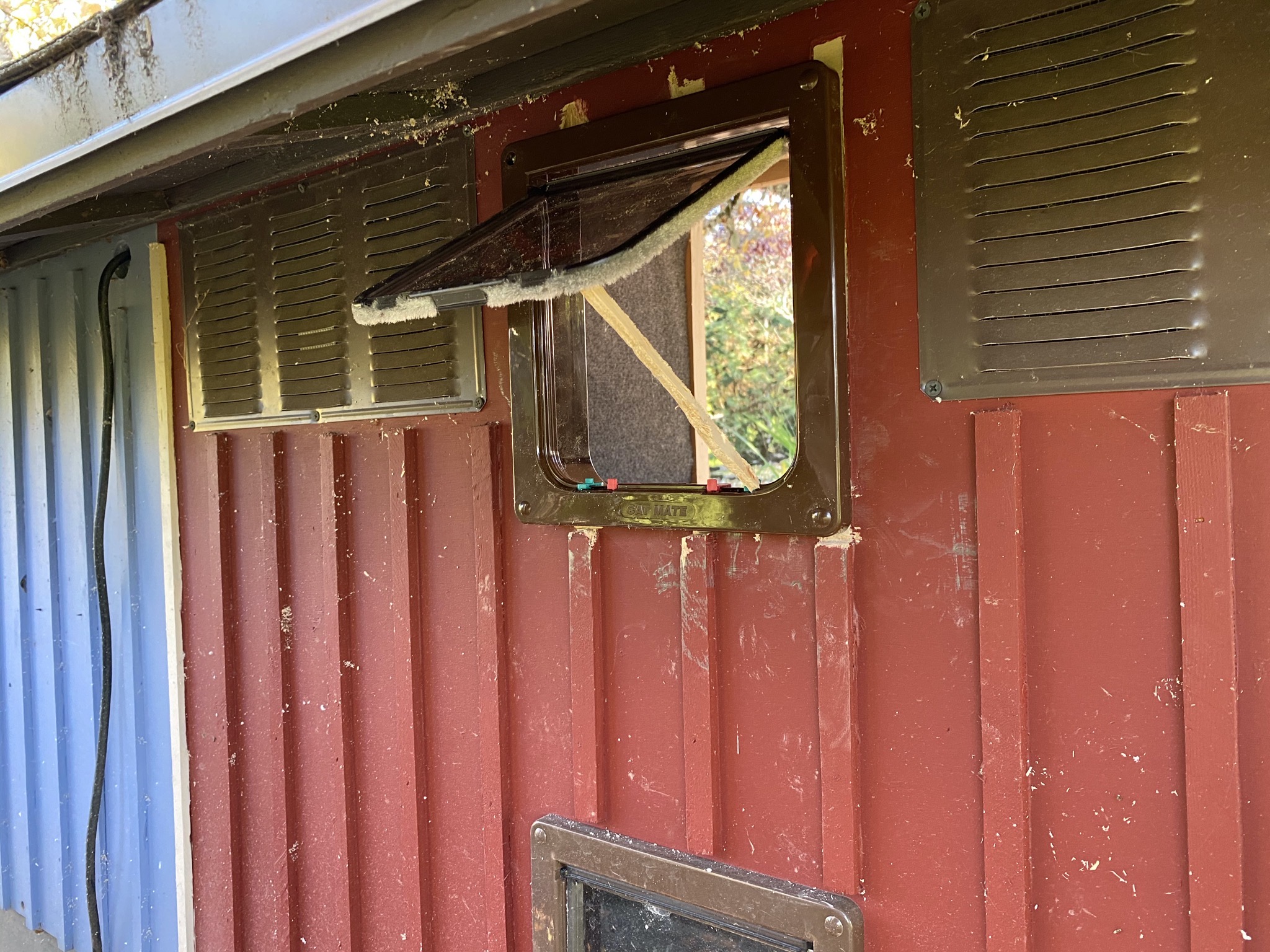 Back of cat house