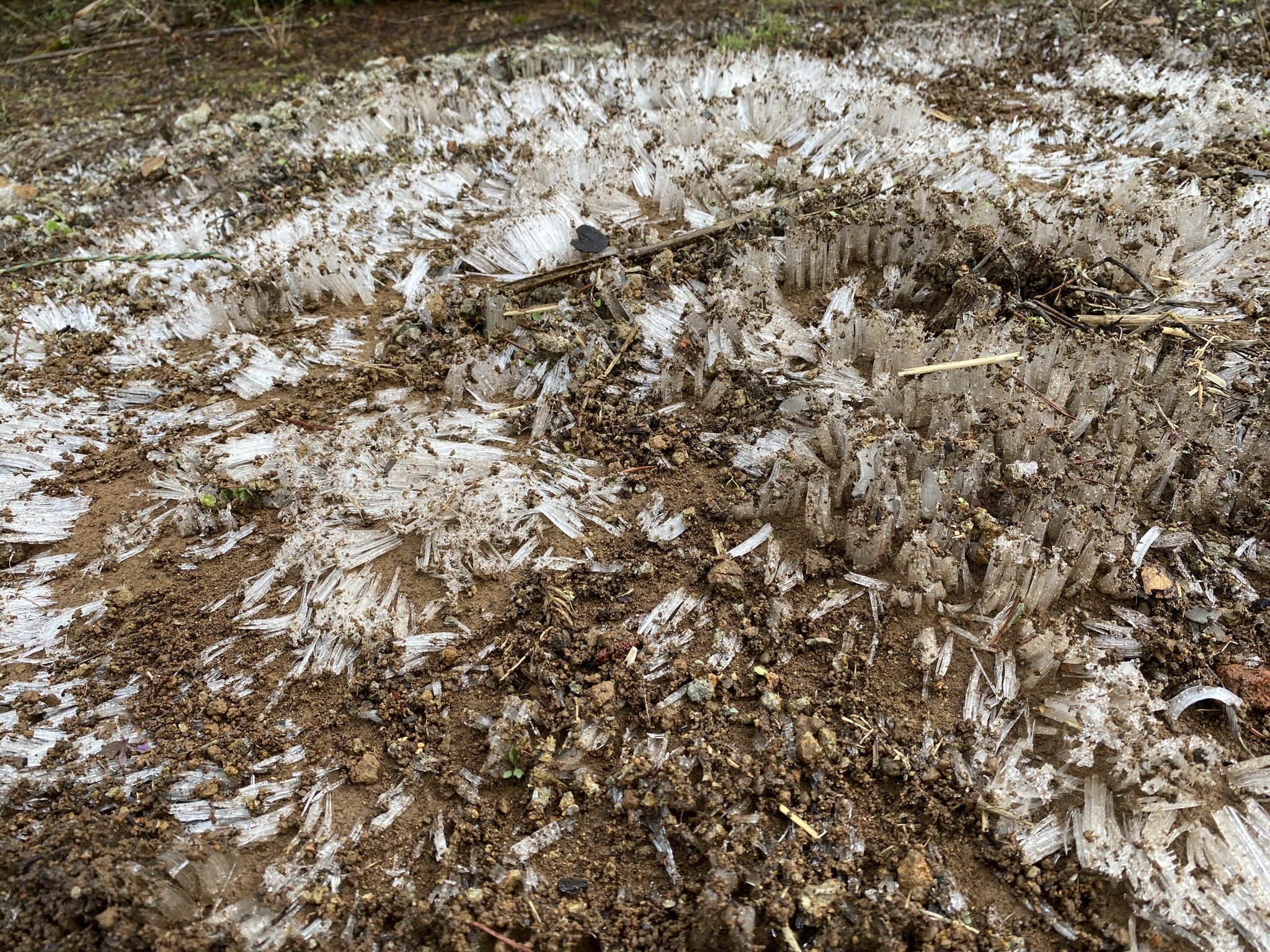 Ice on dirt