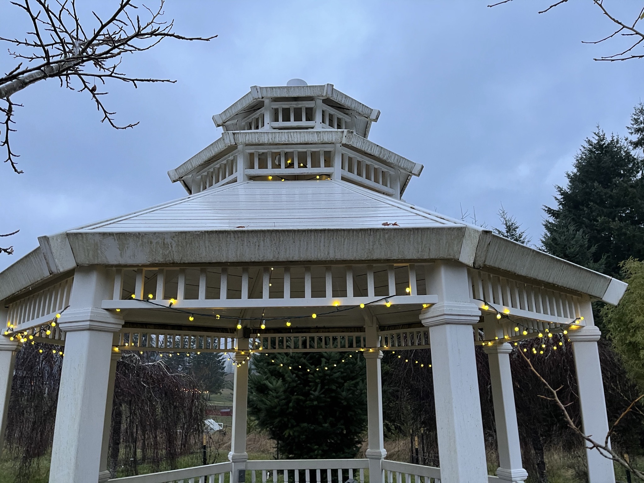 White gazebo with lights on