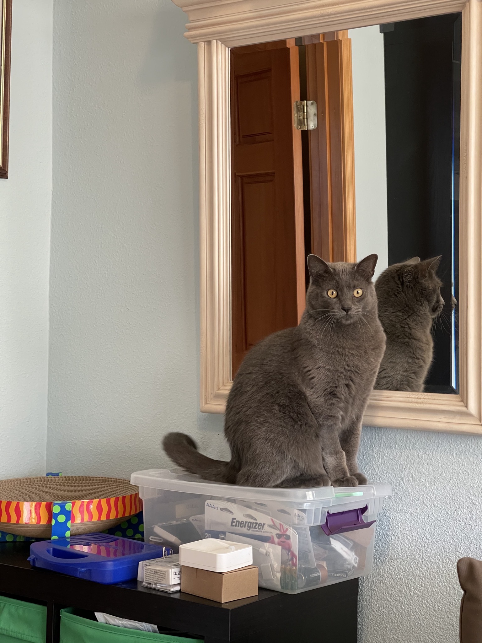 Paladin in front of the mirror