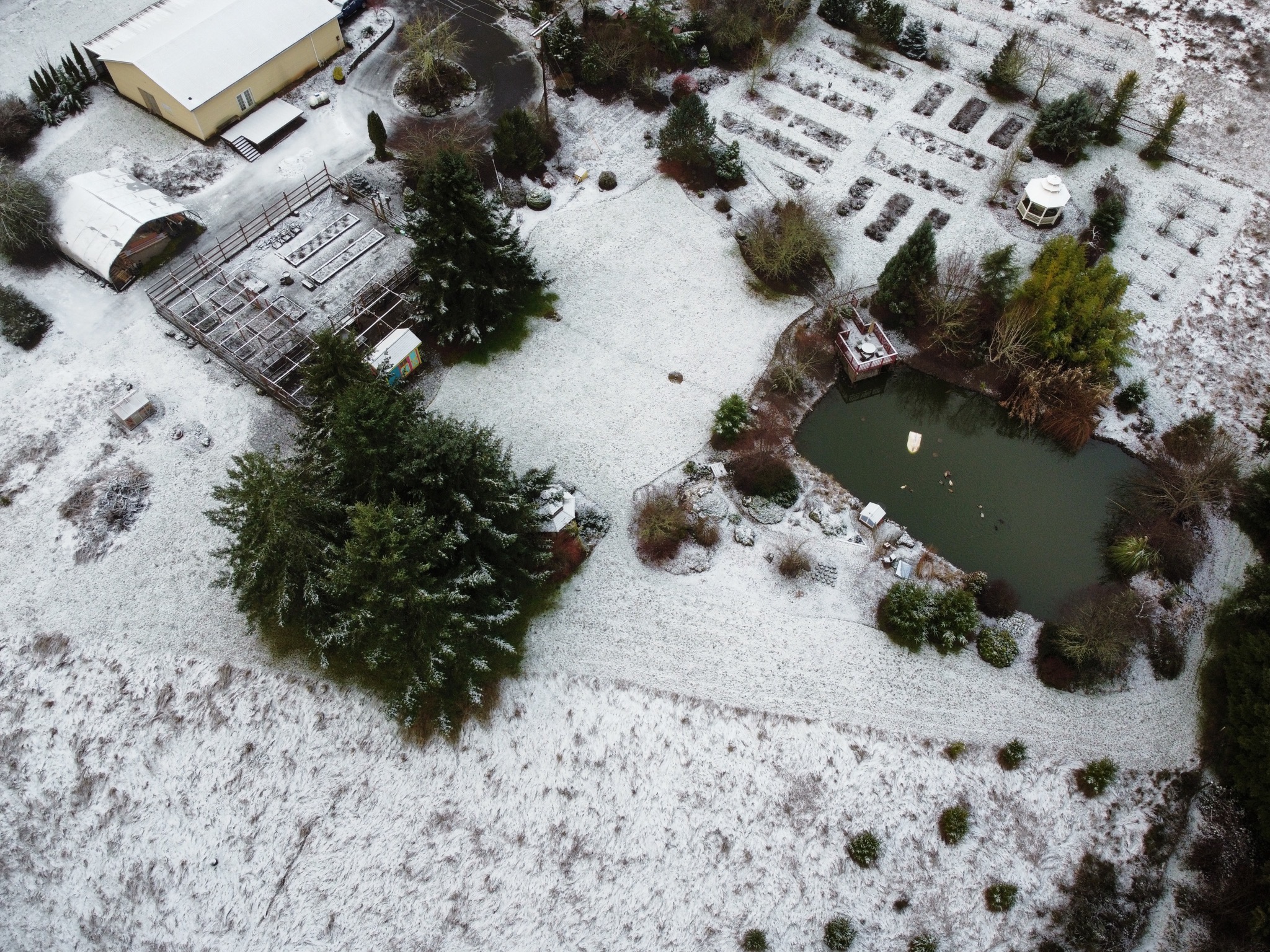 Snowy homestead