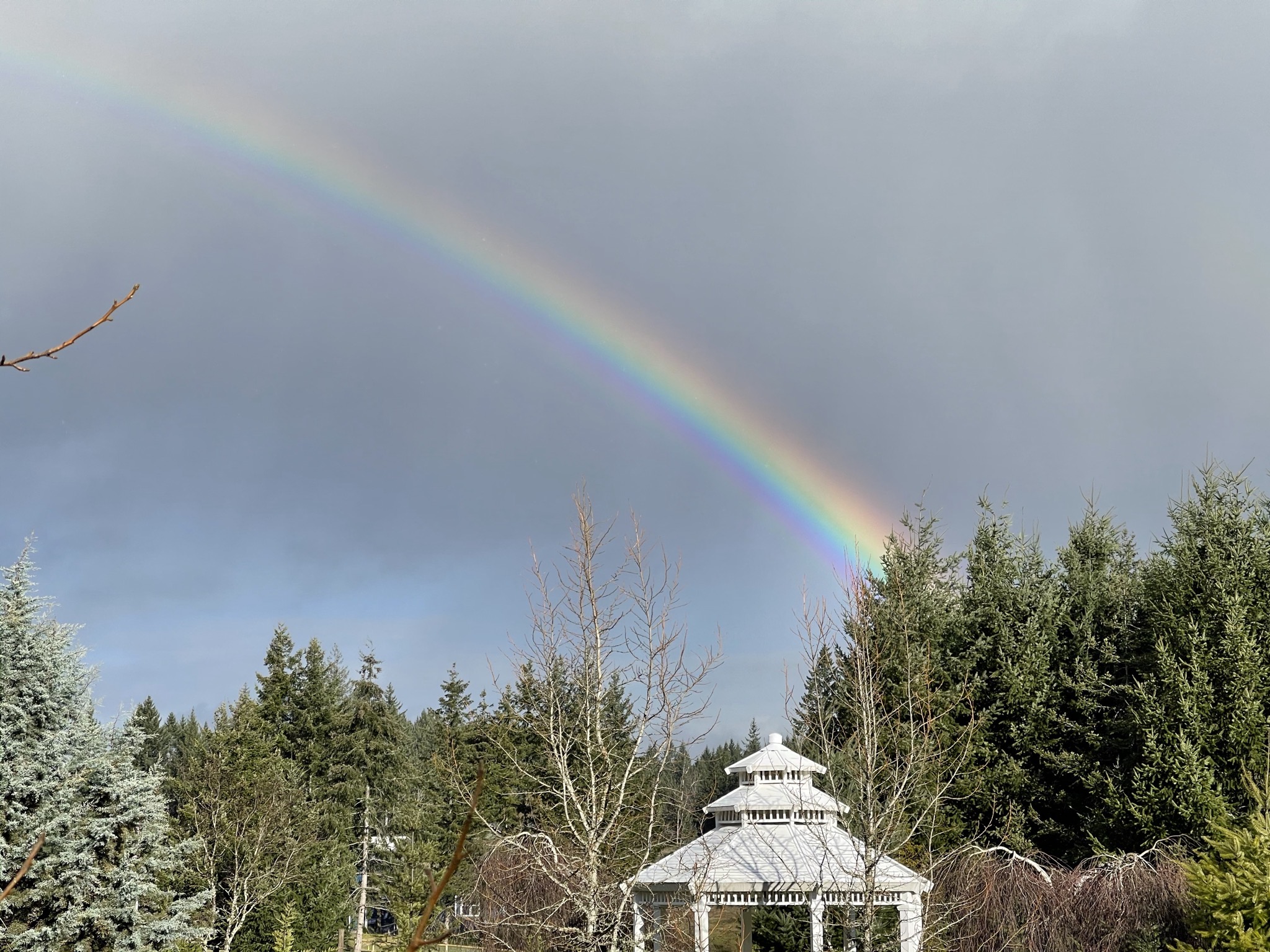 Rainbow