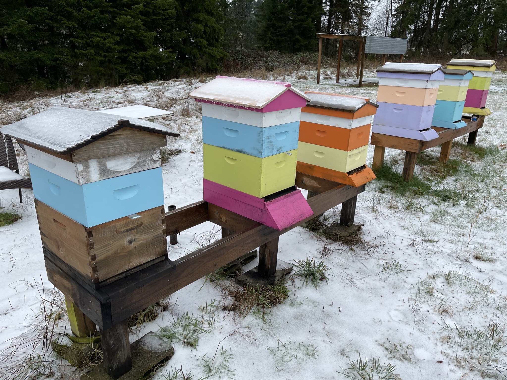 Beehives