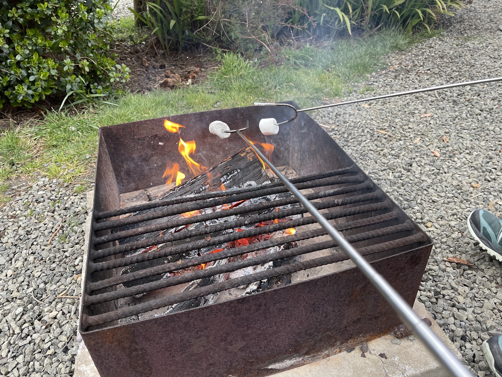 Roasting marshmallows over fire