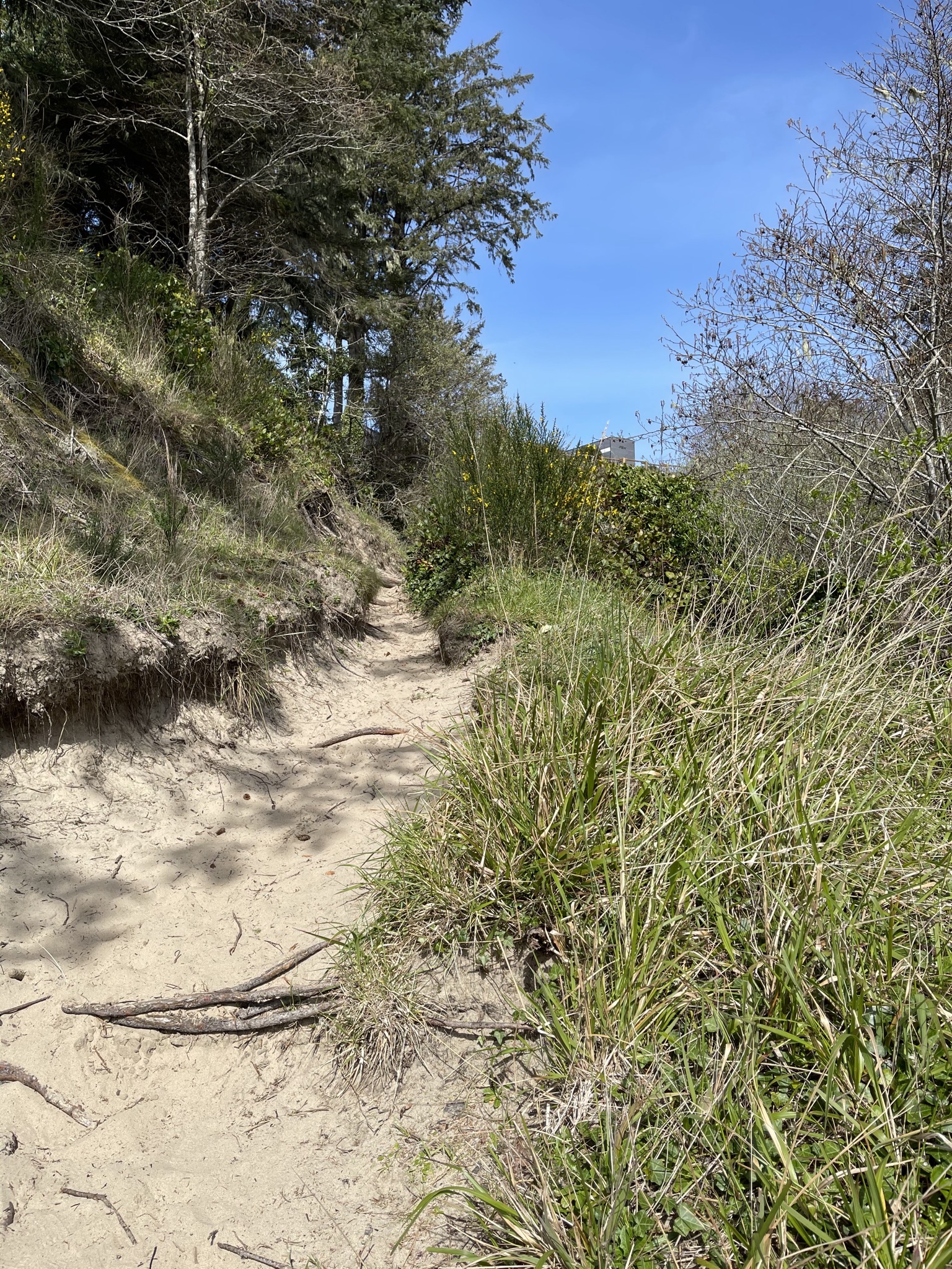 Path with trailer visible