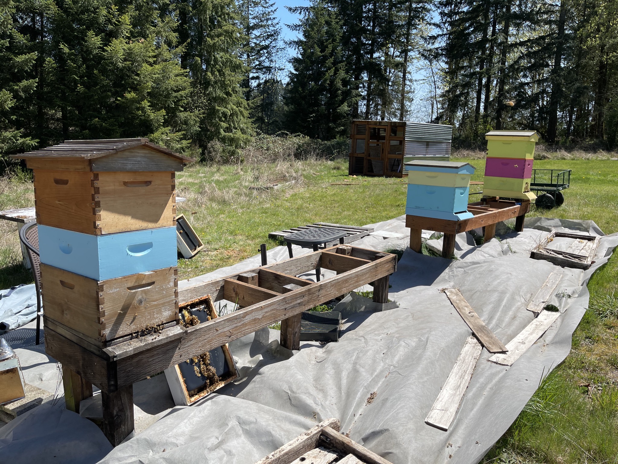 Beehives