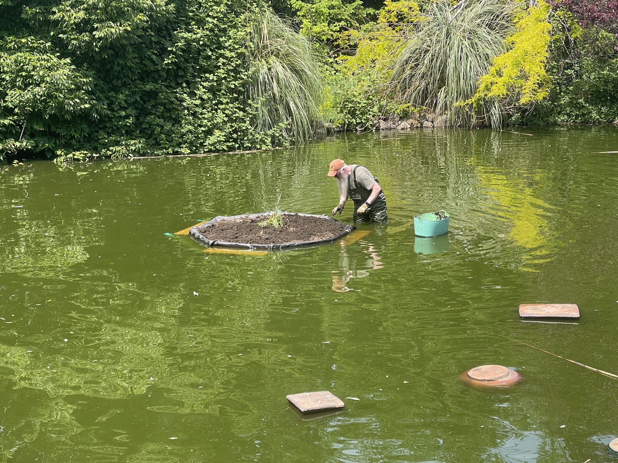 David in pond