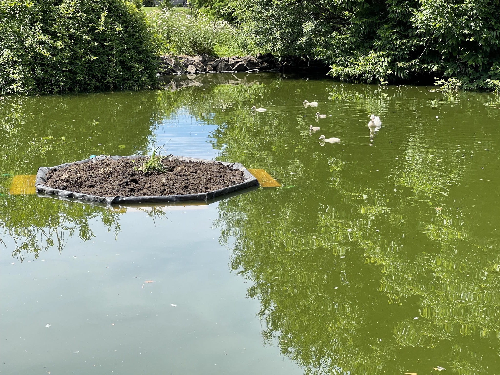 New dirt on island