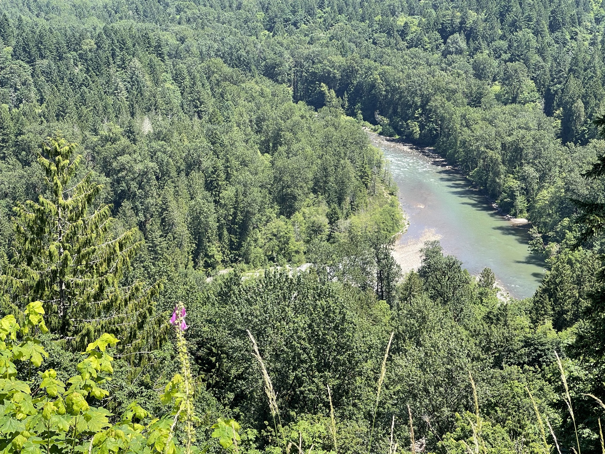 Sandy River
