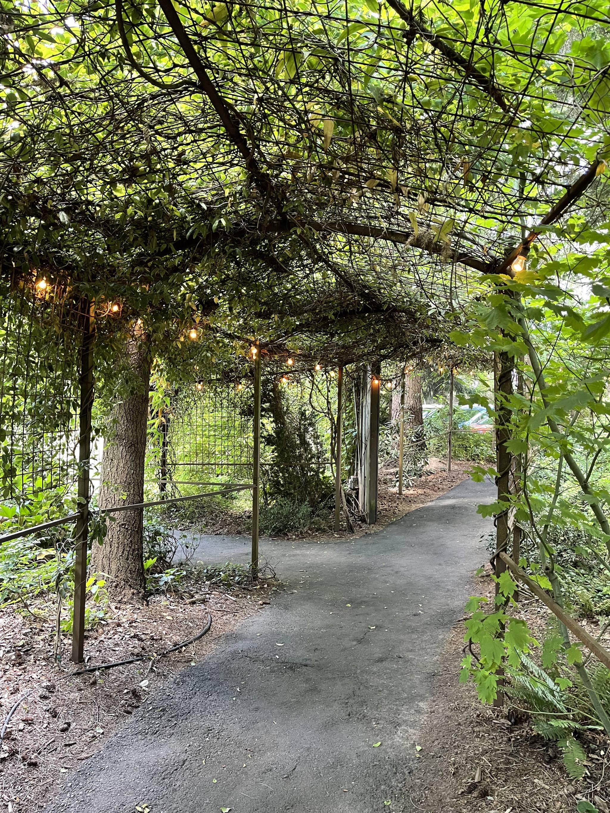 Covered pathway