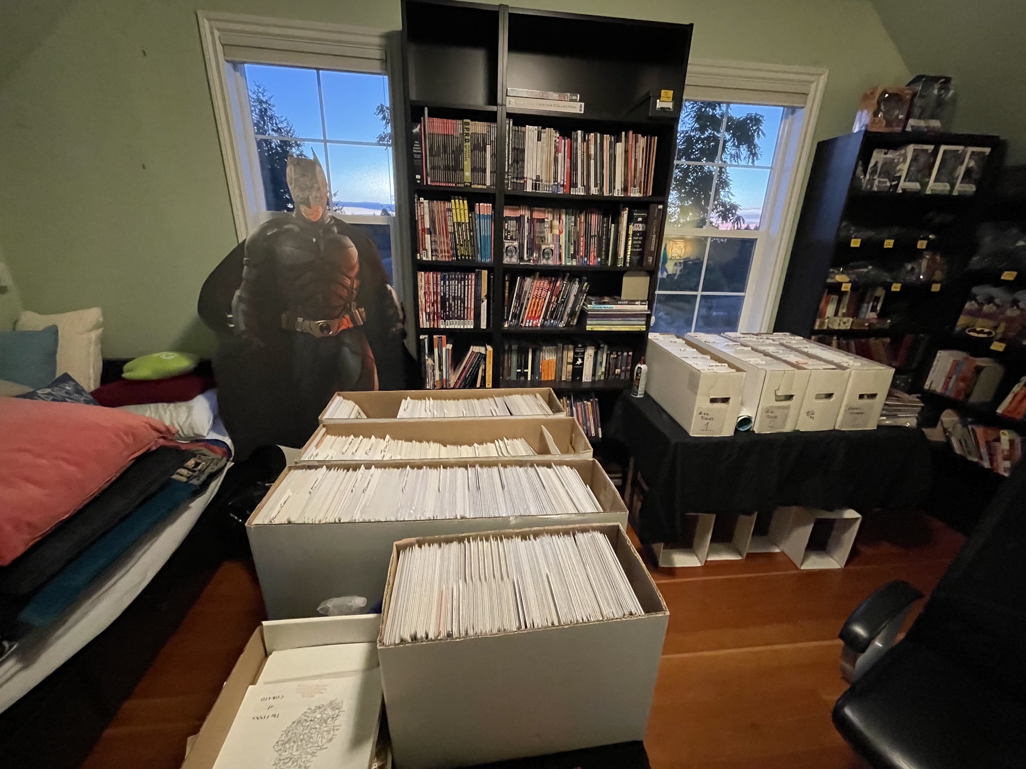 Comics and collectables