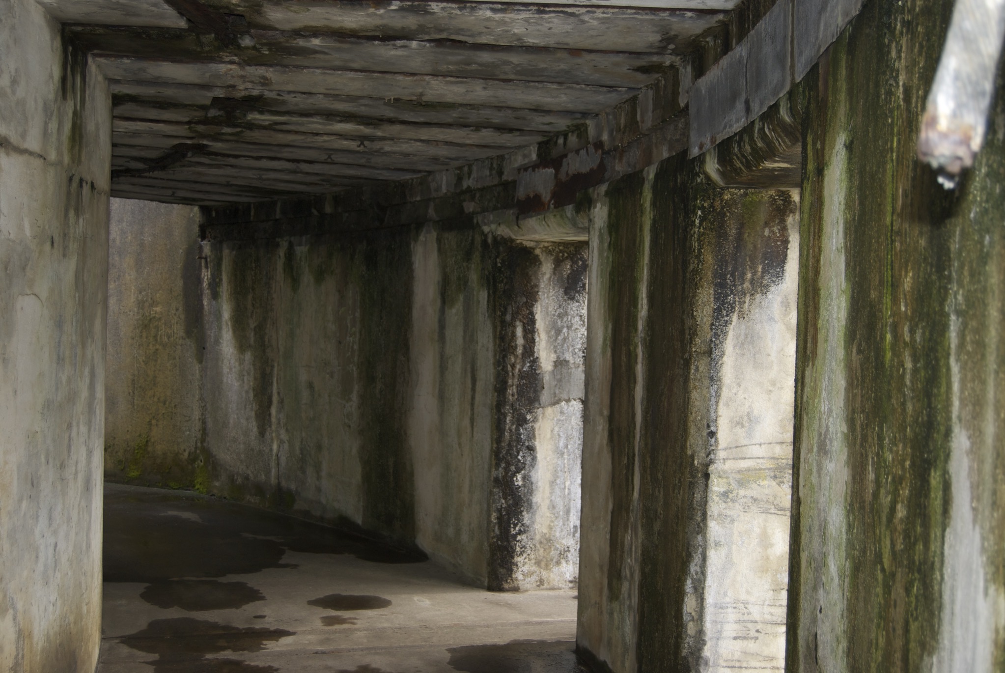 Fort Stevens